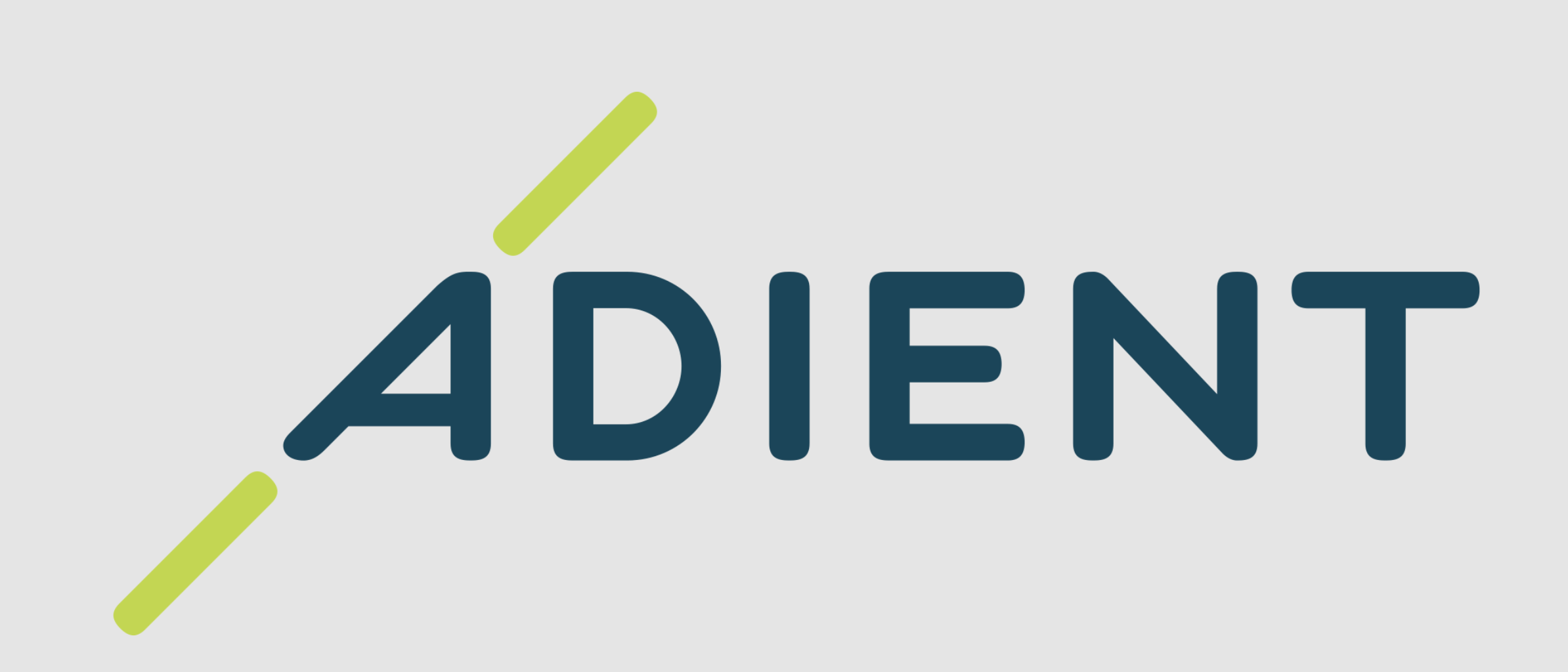 Adient India Pvt Ltd